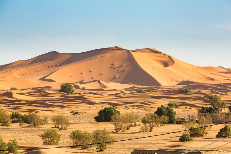 ورش سعودية – كويتية لمكافحة التصحر واستعادة الأراضي