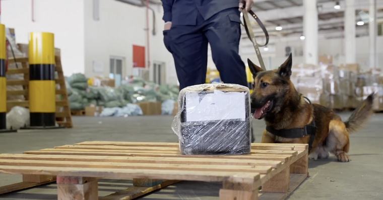 Customs foil attempt to smuggle 18,549 amphetamine pills at Dammam airport