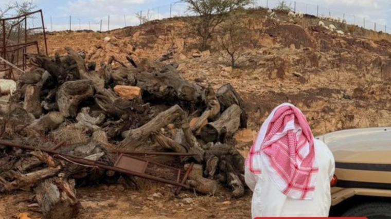 «الأمن البيئي» تضبط مواطنًا بحوزته 5 أمتار مكعبة من الحطب المحلي في عسير